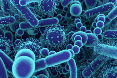 Clinical Microbiology and Infectious Diseases cover