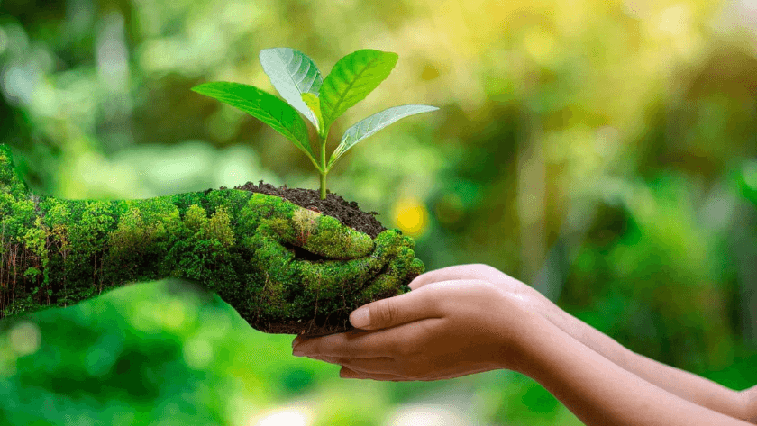 Plant Science and Sustainable Agriculture cover