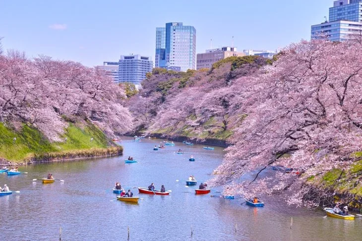 Ueno-Park-r3gv2mia7ti1mrtwbfg96v508vyayp11ucsyh9sj9i