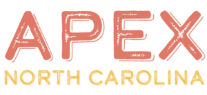 Media partner logo