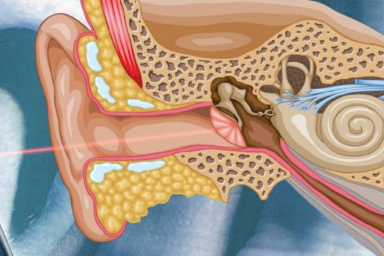 Untitled design - 2025-02-04T182725.008